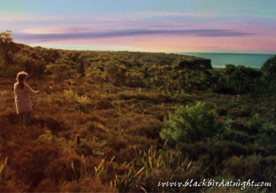 Explorer © 1990 Jane Waterman